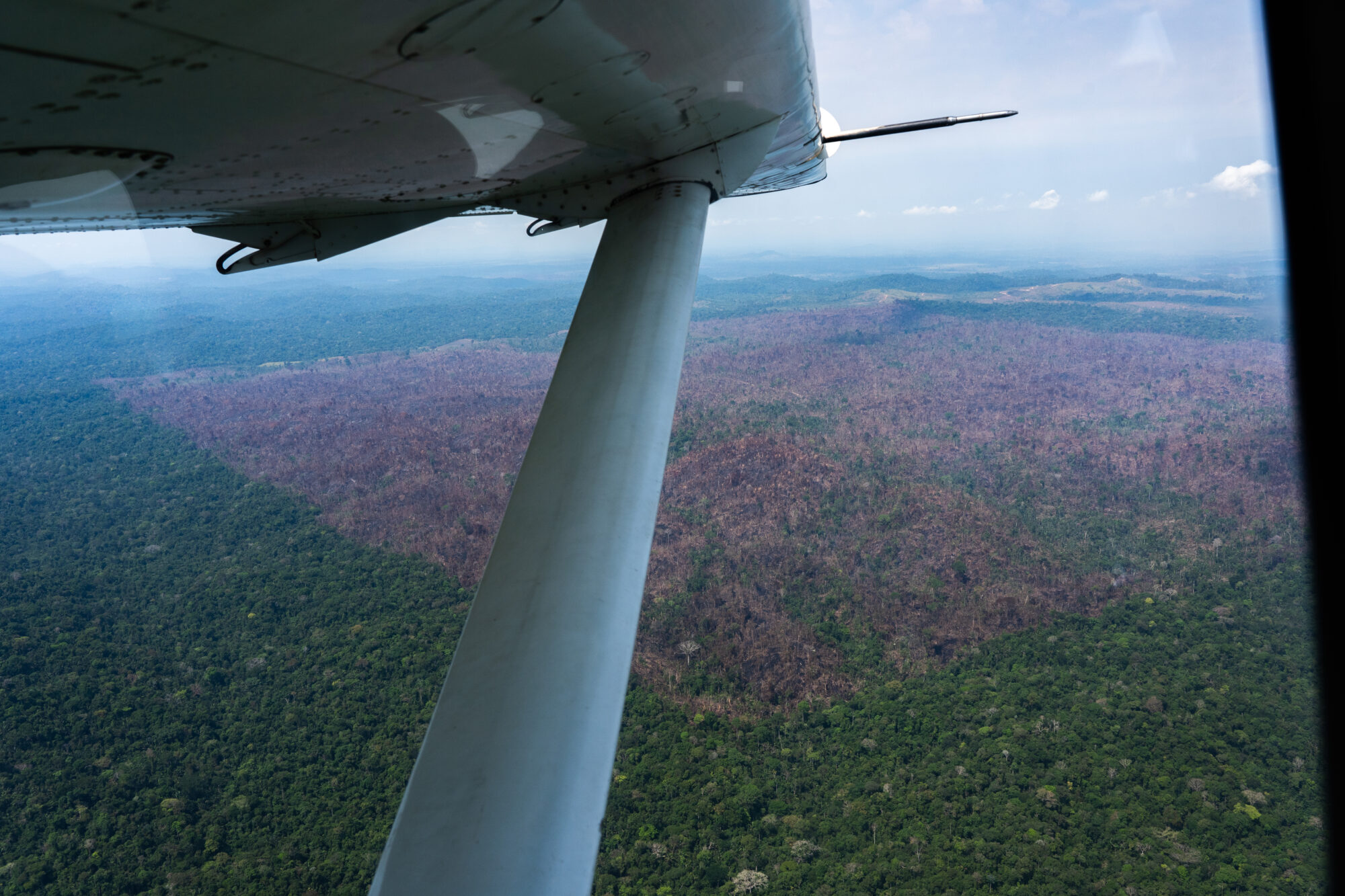Área desmatada no município de Belterra, oeste do Pará: desmatamento da vegetação amazônica, em 2021, foi o maior da década, segundo INPE (Imagem: Flávia Milhorance/Diálogo Chino)
