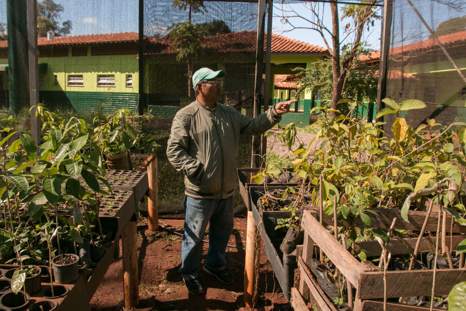 O biólogo e professor guarani kaiowá Cajetano Vera em horta orgânica: produção de frutas e outros alimentos prejudicada pelas consequências do uso de agrotóxicos no solo das terras indígenas (Foto: Siguimar Gonçalves)