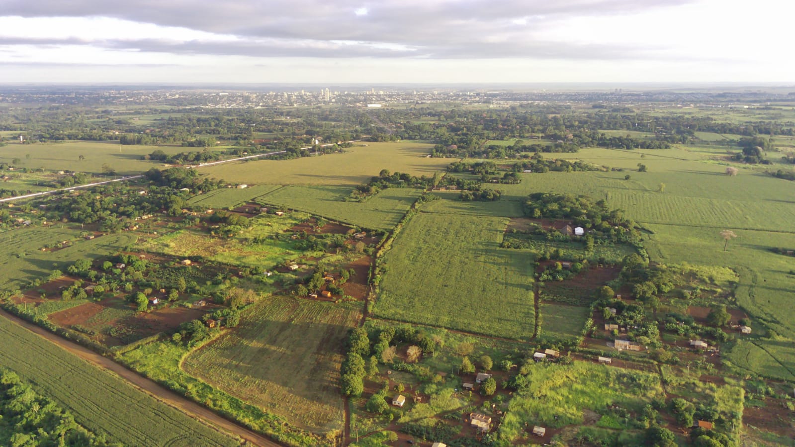 Aldeias indígenas cercadas por plantações de milho e soja na Terra Indígena Jaguapiru: uso de agrotóxicos ameaça saúde na reserva (Foto: Olácio Komori)