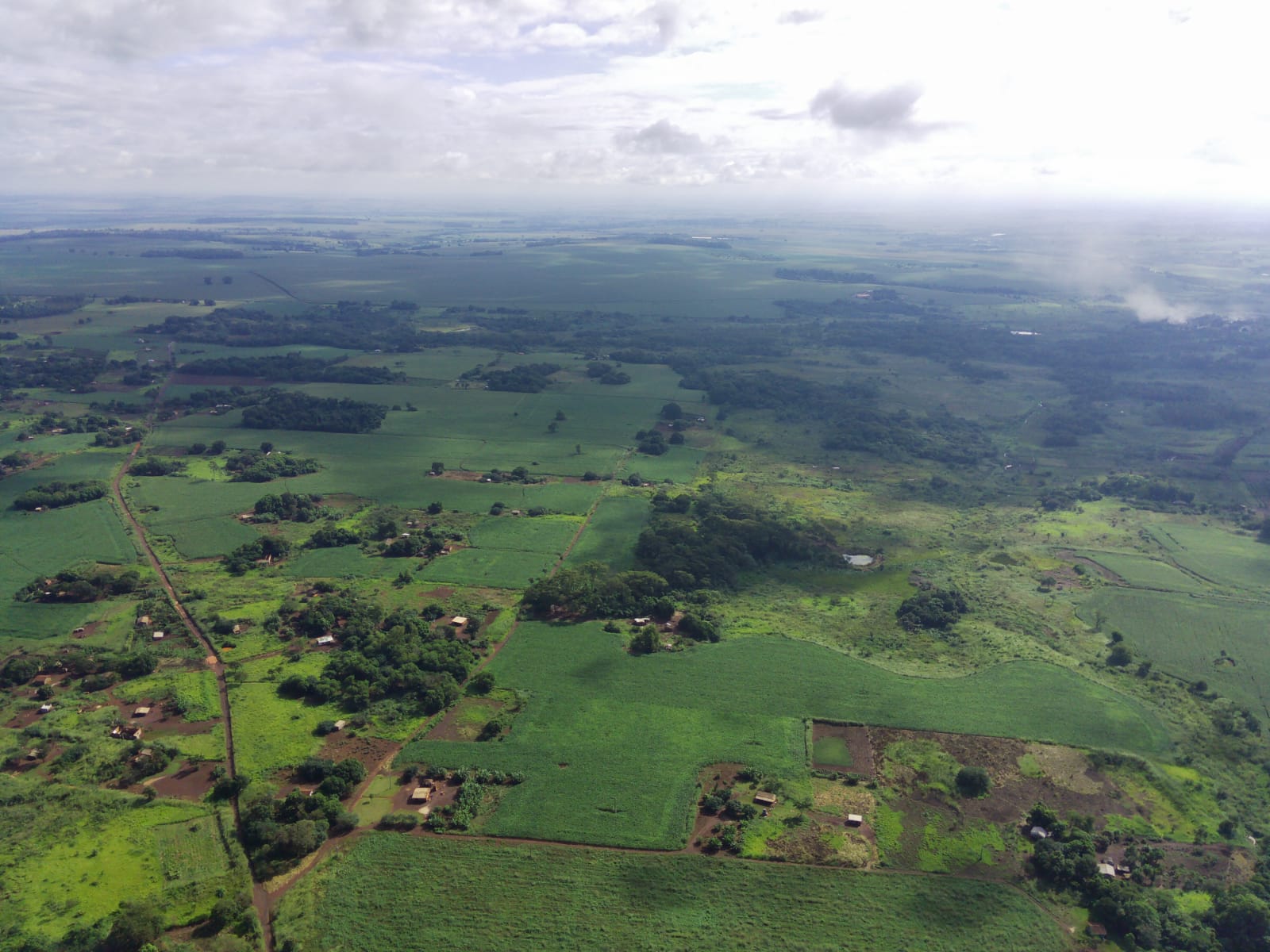 Aldeias indígenas cercadas por plantações de milho e soja na Jaguapiru: incentivo à monocultura nas reservas indígenas durante a ditadura militar (Foto: Olácio Komori)