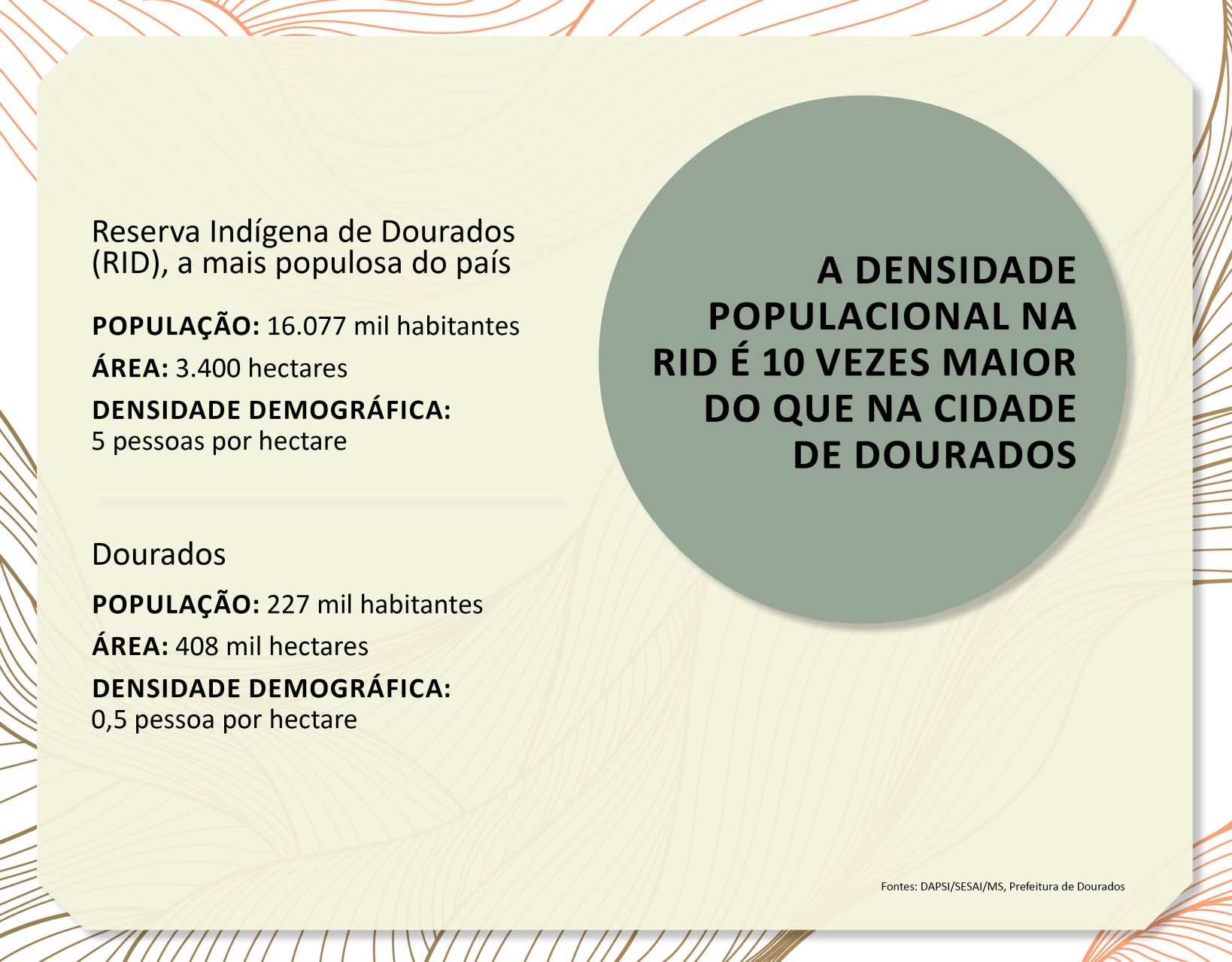 (Infografia: Ana Beatriz Pádua)