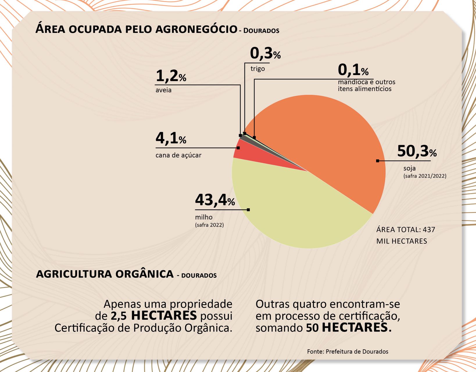 (Infografia: Ana Beatriz Pádua)