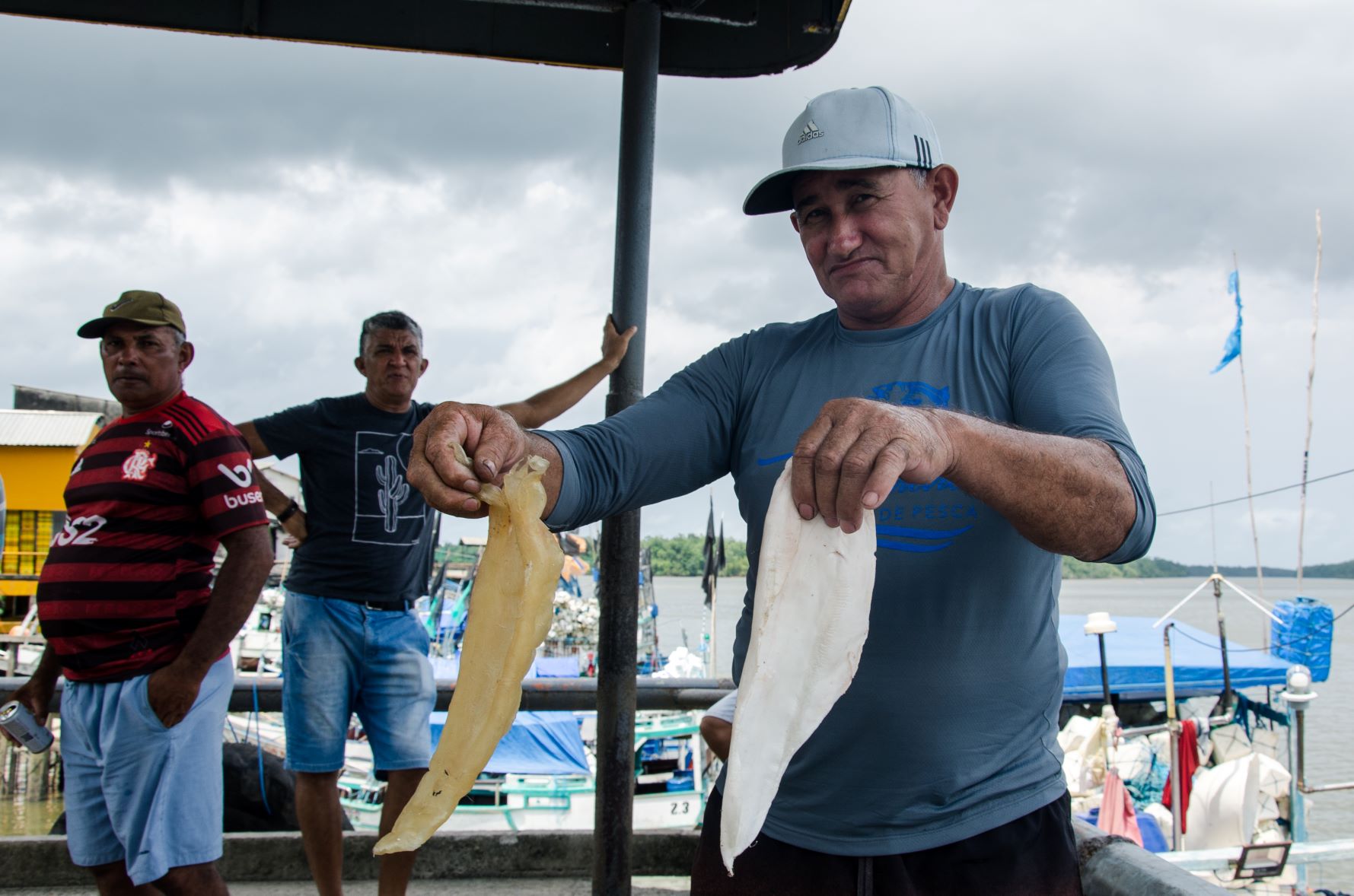 Dono de barco, Arlindo Araújo mostra bexigas natatórias in natura e seca: produto fundamental para a sobrevivência dos pescadores (Foto: Sarita Reed/Diálogo Chino)