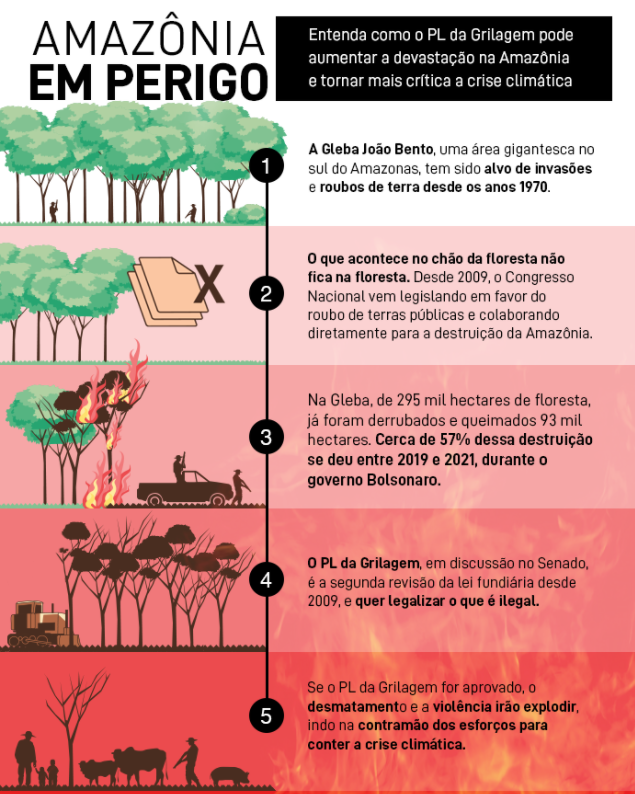 Como PL da Grilagem pode aumentar devastação (Arte: Greenpeace)