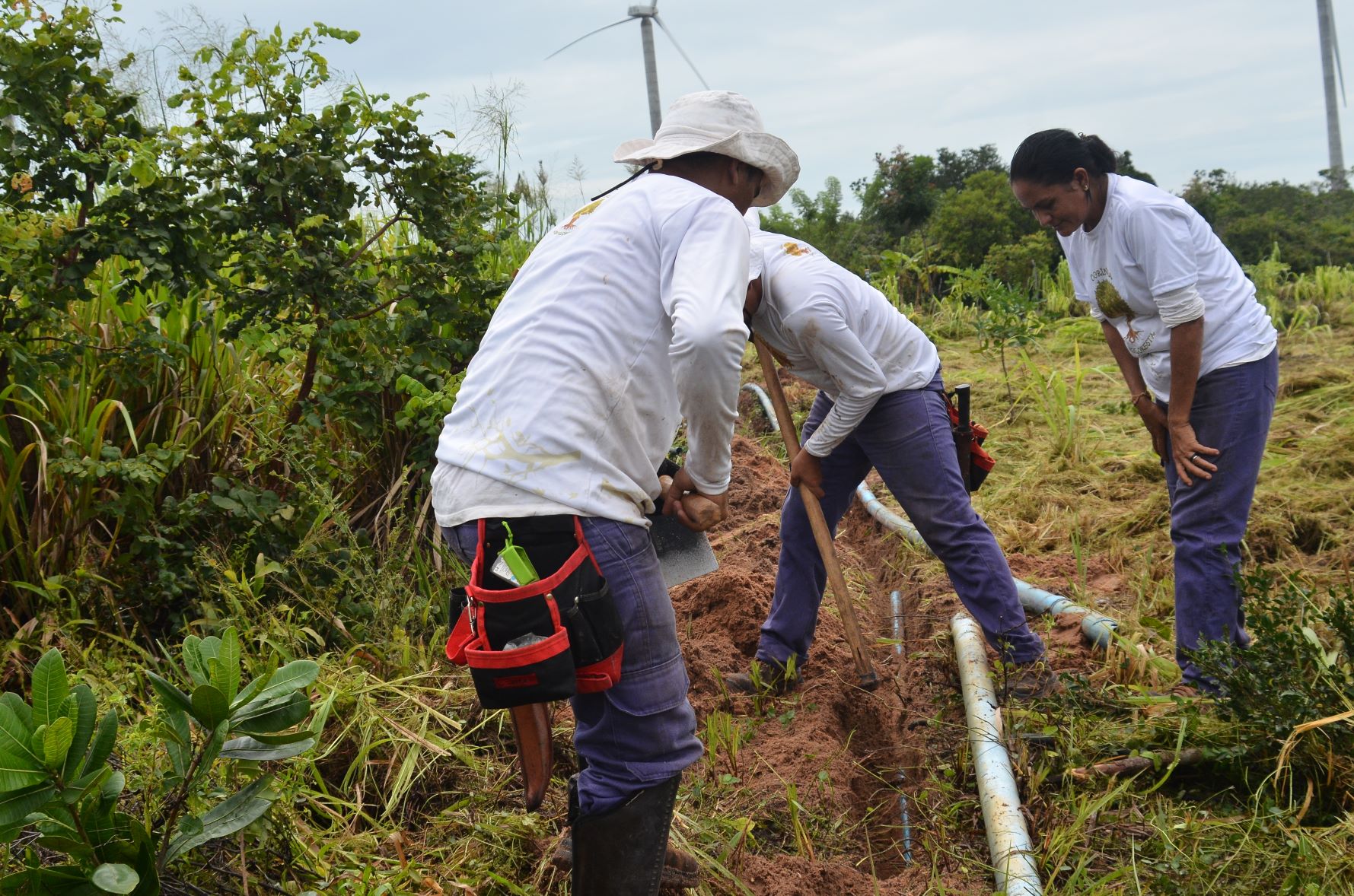 Luciana na fazenda agroflorestal onde é gerente: abandonada aos 9 anos com a obrigação de cuidar de três irmãos mais jovens (Foto: João Paulo Guimarães)