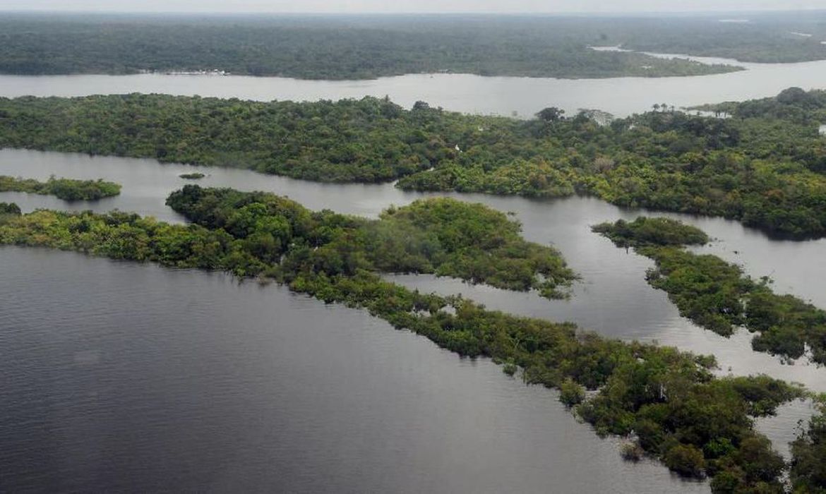Dia da Amazônia, 5 de setembro, será celebrado em grande estilo em eventos culturais gratuitos por todo o país (Foto: Valter Campanato / Agência Brasil)