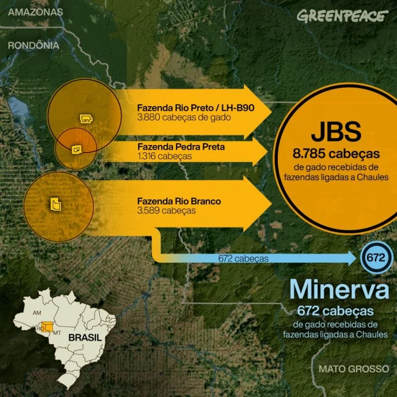 JBS adquiriu animais de três fazendas com irregularidades ligadas a Chaules Pozzebon, enquanto Minerva comprou de uma destas propriedades. Arte: Rodolfo Almeida/Greenpeace