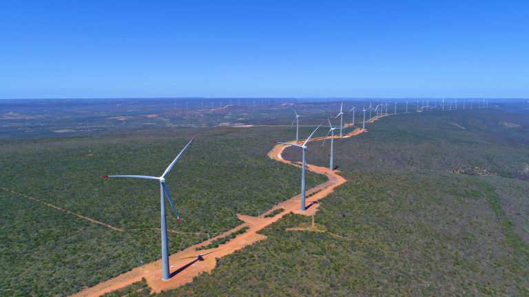 Parque Eólico Lagoa dos Ventos, da Enel (Foto: divulgação)