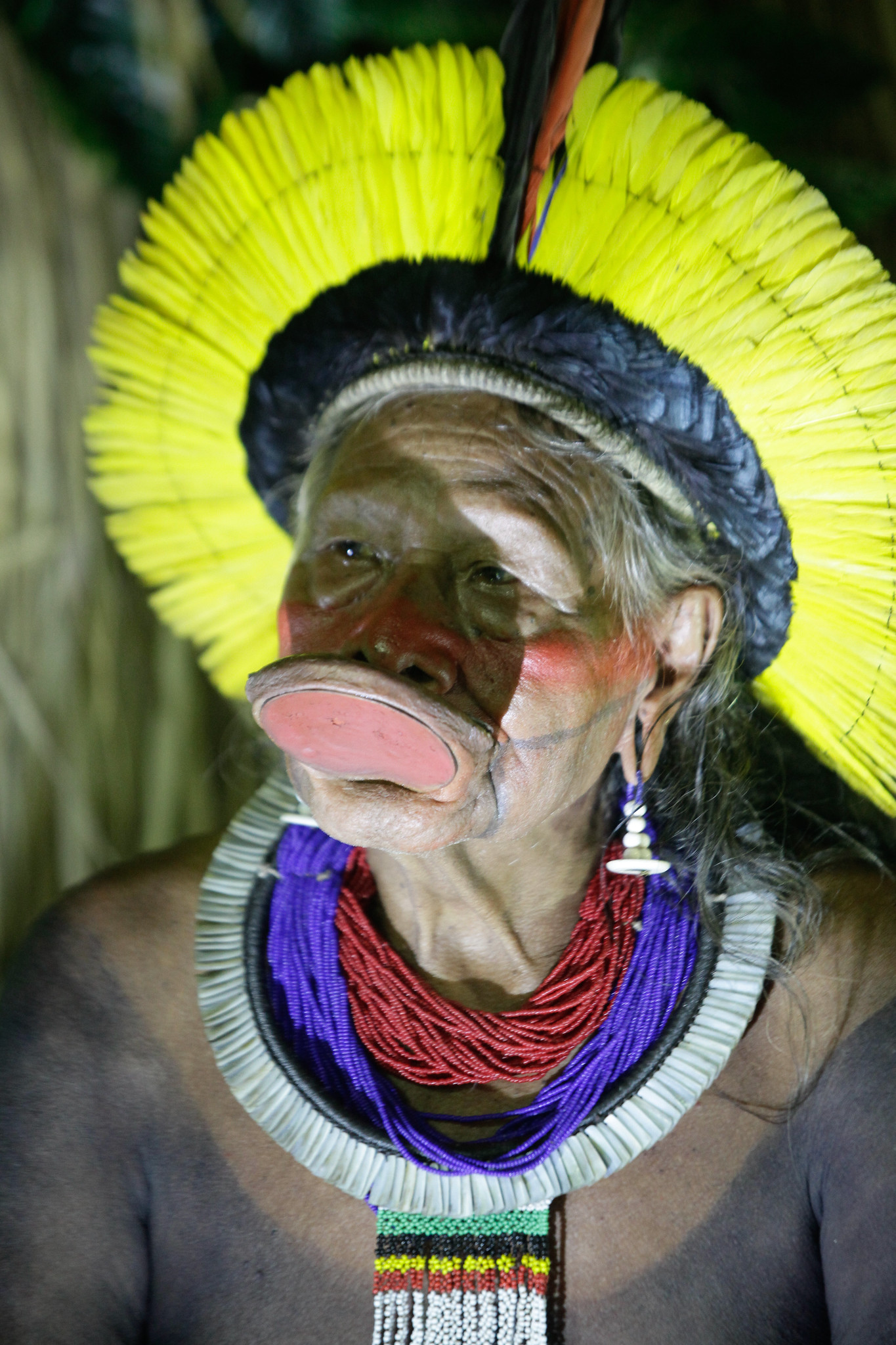 Cacique Raoni no desfile da Imperatriz: presença marcante. Foto Gabriel Monteiro/Riotur