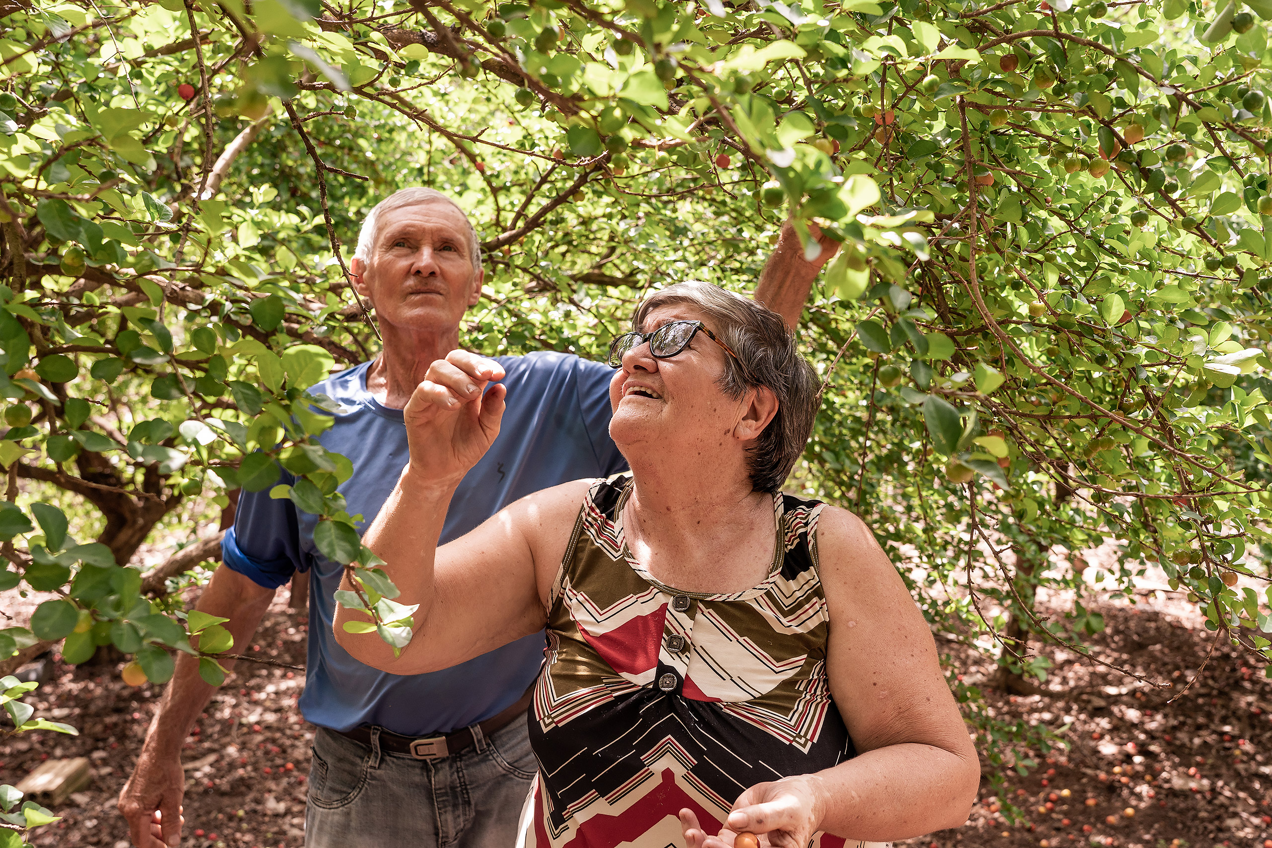 Casal Pertile sob um pé de acerola, uma das muitas árvores frutíferas da propriedade. Foto Flávia Milhorance/Diálogo Chino