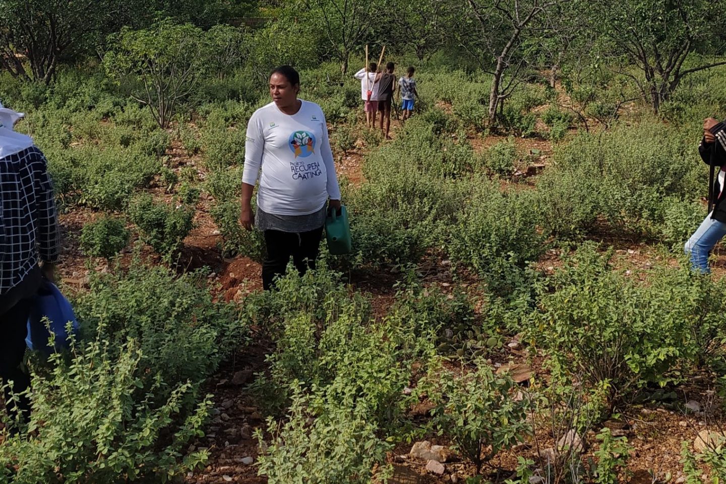 Dia Nacional da Caatinga