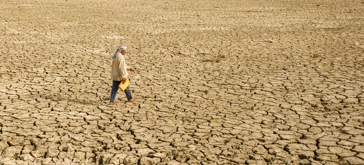 Paisagem seca no Iraque durante onda de calor: agência da ONU prevê recordes de calor para os próximos anos (Kureng Dapel/OMM)