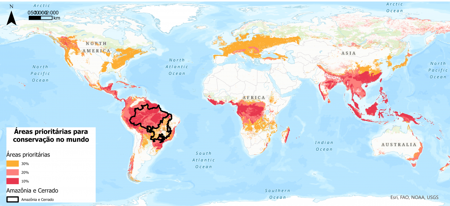 Plangea Web; regiões da Amazônia e Cerrado (Reprodução)