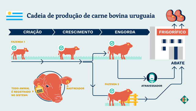 Gráfico: Lucas Gomes / Diálogo Chino