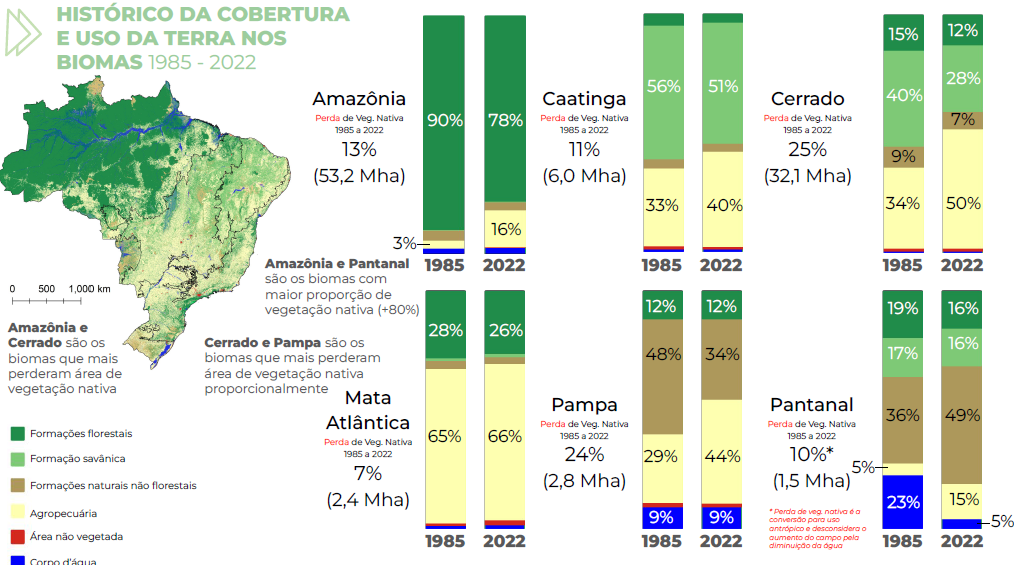 Perda de vegetação nativa por bioma (Arte: MapBiomas)