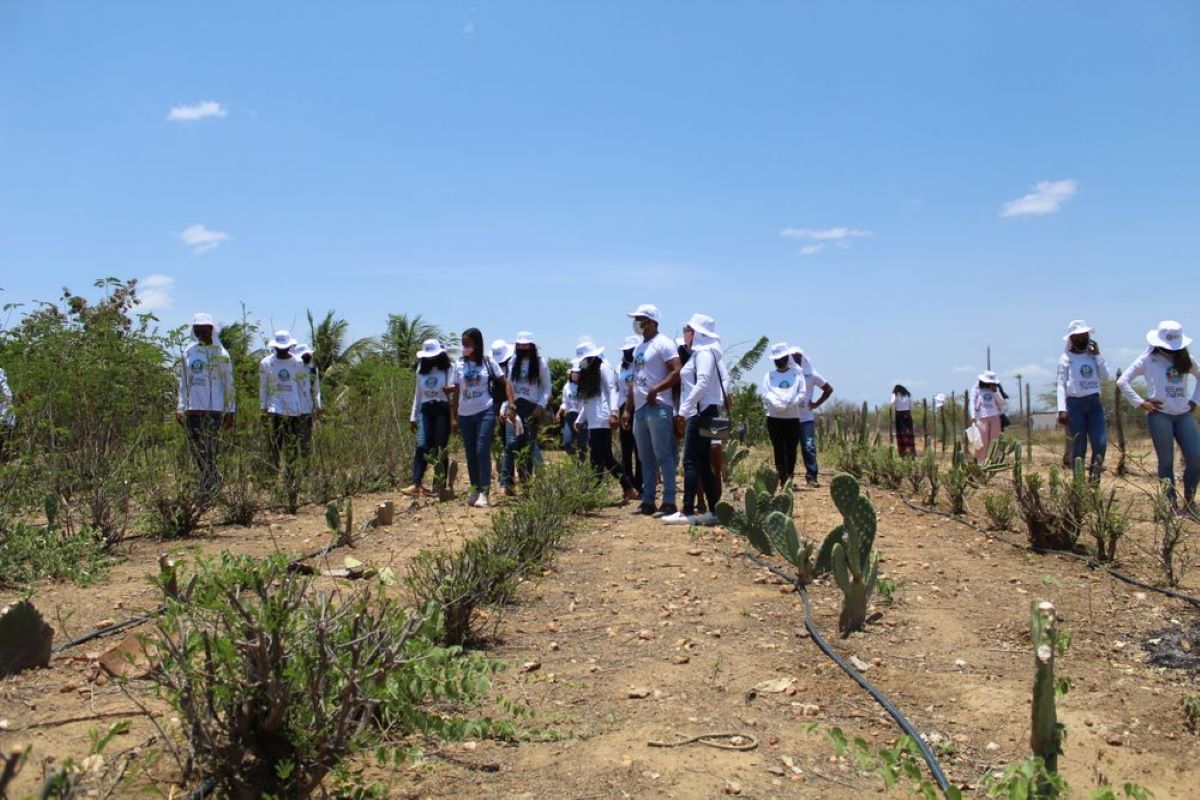 Quilombolas recuperam área de Caatinga no interior de Pernambuco