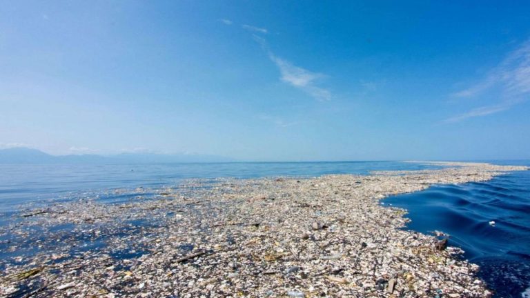 Grande Mancha de Lixo do Pacífico: plástico acumulado está fornecendo um lar para as espécies costeiras prosperarem no meio do oceano, afirmam pesquisadores (Foto: Ocean Cleanup)