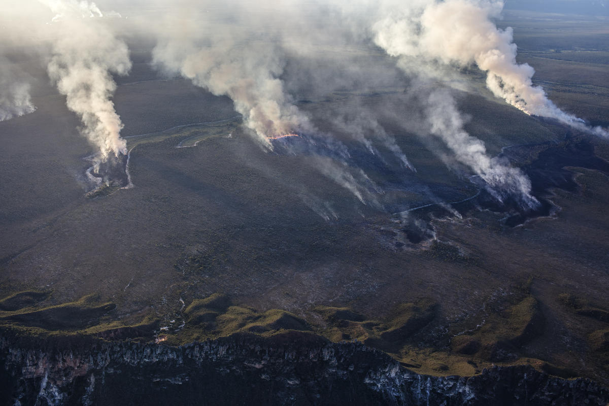 Desmatamento no Matopiba: região é apontada como prioritária para conservação e restauração para atingir meta de biodiversidade (Foto: Marizilda Cruppe / Greenpeace - 2019)