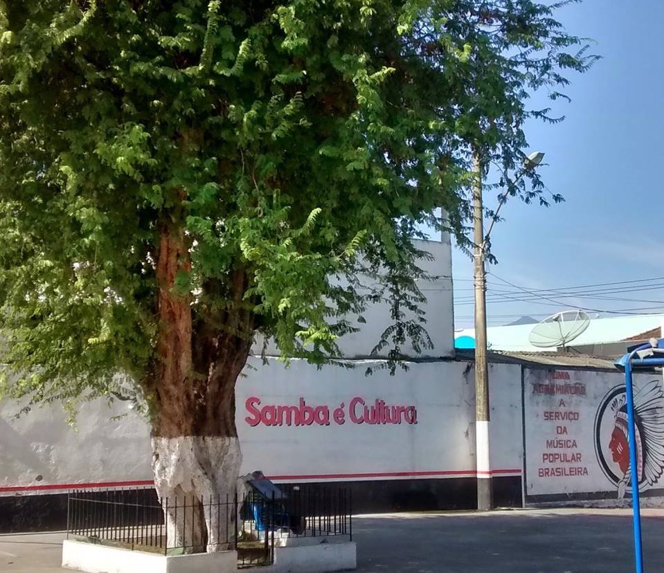 A famosa tamarineira do Cacique de Ramos: na história do samba do Rio de Janeiro (Foto: Reprodução Facebook Cacique de Ramos)