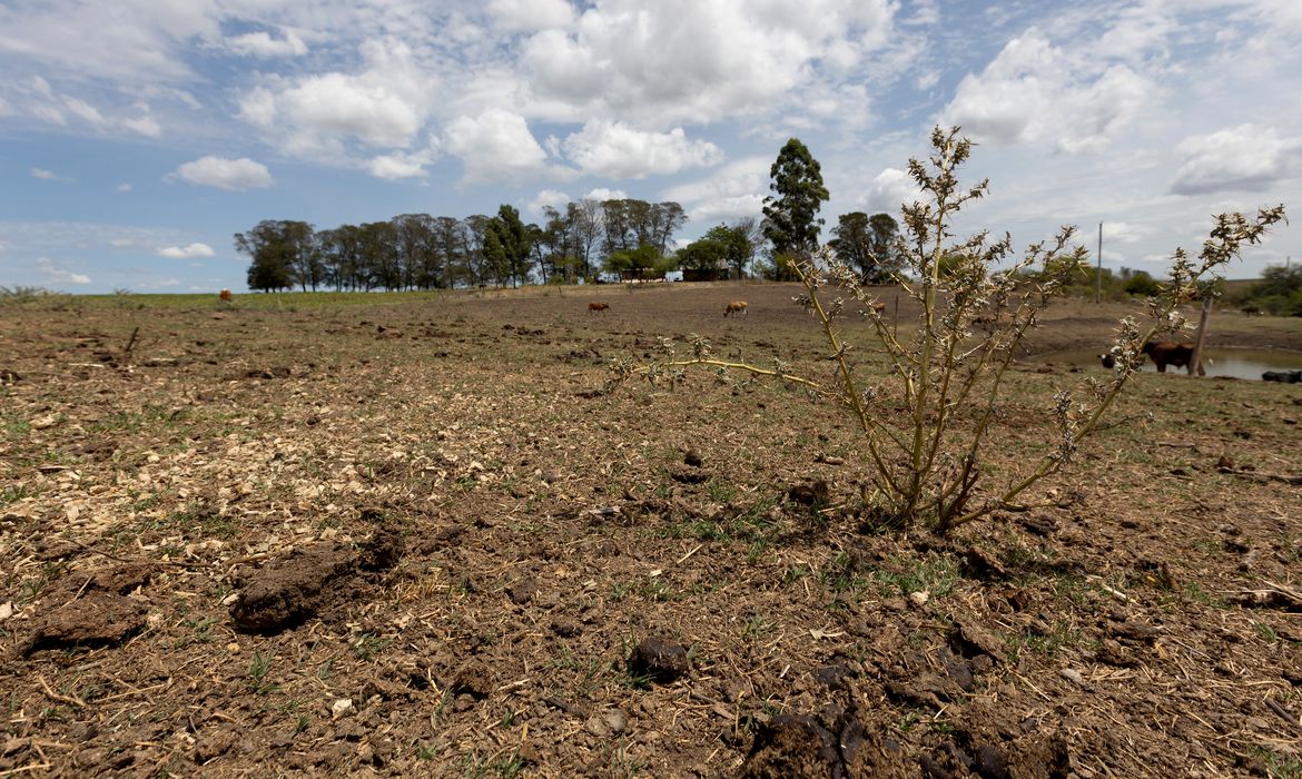 Cenário de seca no Pampa gaúcho: desastres são, na maioria, previsíveis (Foto: Fábio Pozzebom / Agência Brasil - 23/02/2023)