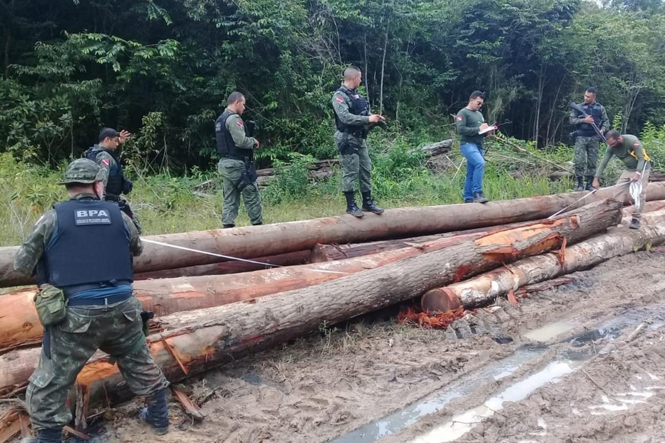 Apreensão de madeira extraída ilegalmente no Pará: mais de 100 mil hectares de florestas da Amazônia foram explorados ilegalmente para a extração de madeira de agosto de 2021 a julho de 2022 (Foto: Agência Pará)