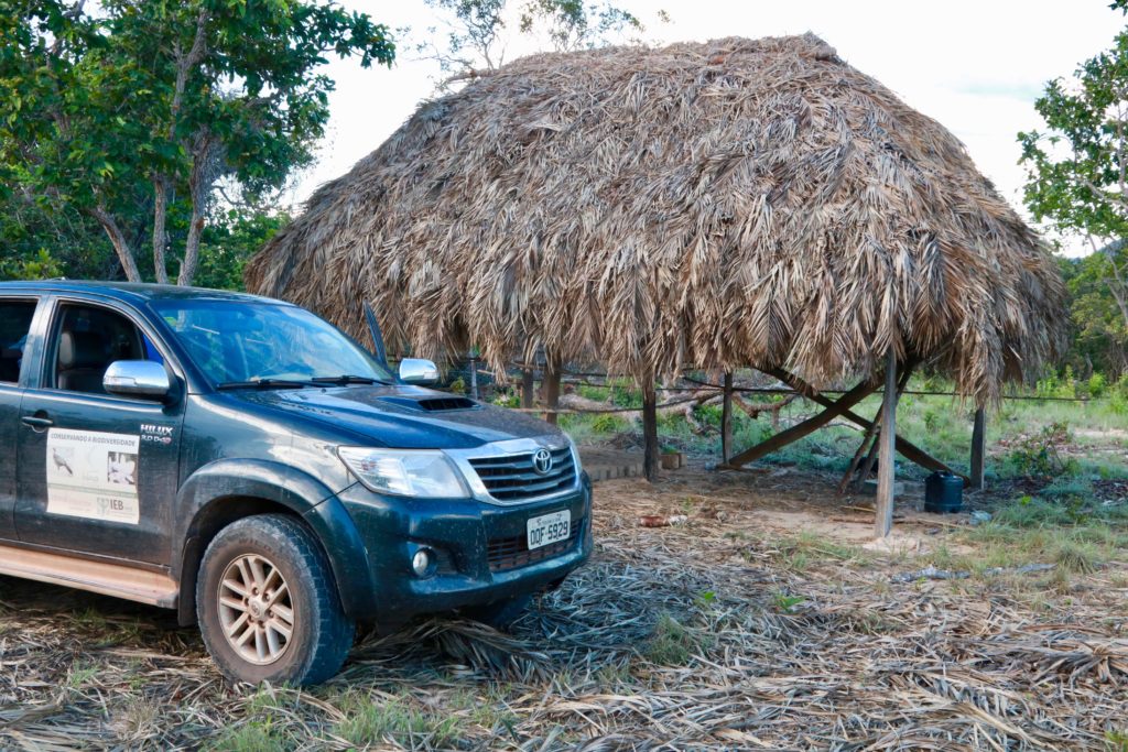 Casa e roça destruídas em ação de grileiros no território Kalunga: quilombolas sofrem ameaças e temem ataques (Foto: Associação Quilombola Kalunga - 2021)