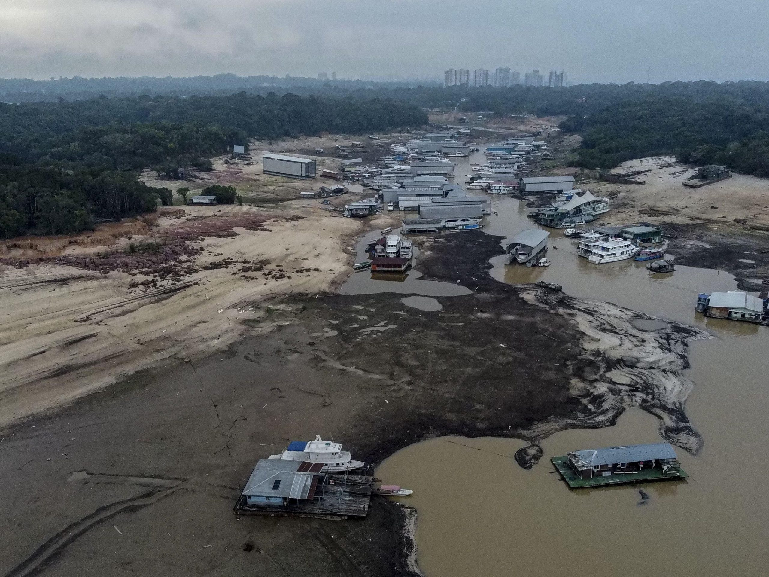 O Igarapé do Gigante, que deságua no rio Negro, em Manaus, é um dos locais mais duramente atingidos pela seca no Amazonas. Foto Alamy