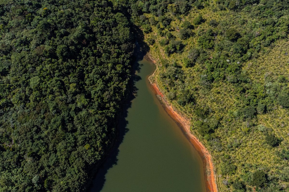 Área reflorestada (esquerda) e outra em processo de reflorestamento (direita), ao lado do reservatório Atibainha. As margens dos rios são protegidas por lei no Brasil, mas uma pesquisa de 2017 constatou que muitas dessas áreas no sistema Cantareira haviam sido degradadas. Foto Lucas Ninno/Diálogo Chino)
