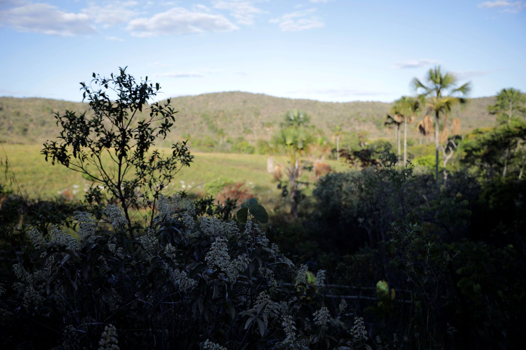 Área preservada de Cerrado na Chapada dos Veadeiros em território quilombola: trabalho de georrefenciamento permitiu levantar características socioeconômicas, aptidões agrícolas, recursos naturais e potencialidades paisagísticas (Foto: AQK)