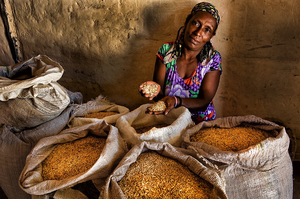 A quilombola Dirani Francisca, da comunidade de Vão das Almas, com arroz da plantação local: moradores do Kalunga têm orgulho de produção orgânica e sem agrotóxicos (Foto: Sergio Amaral/MDS)