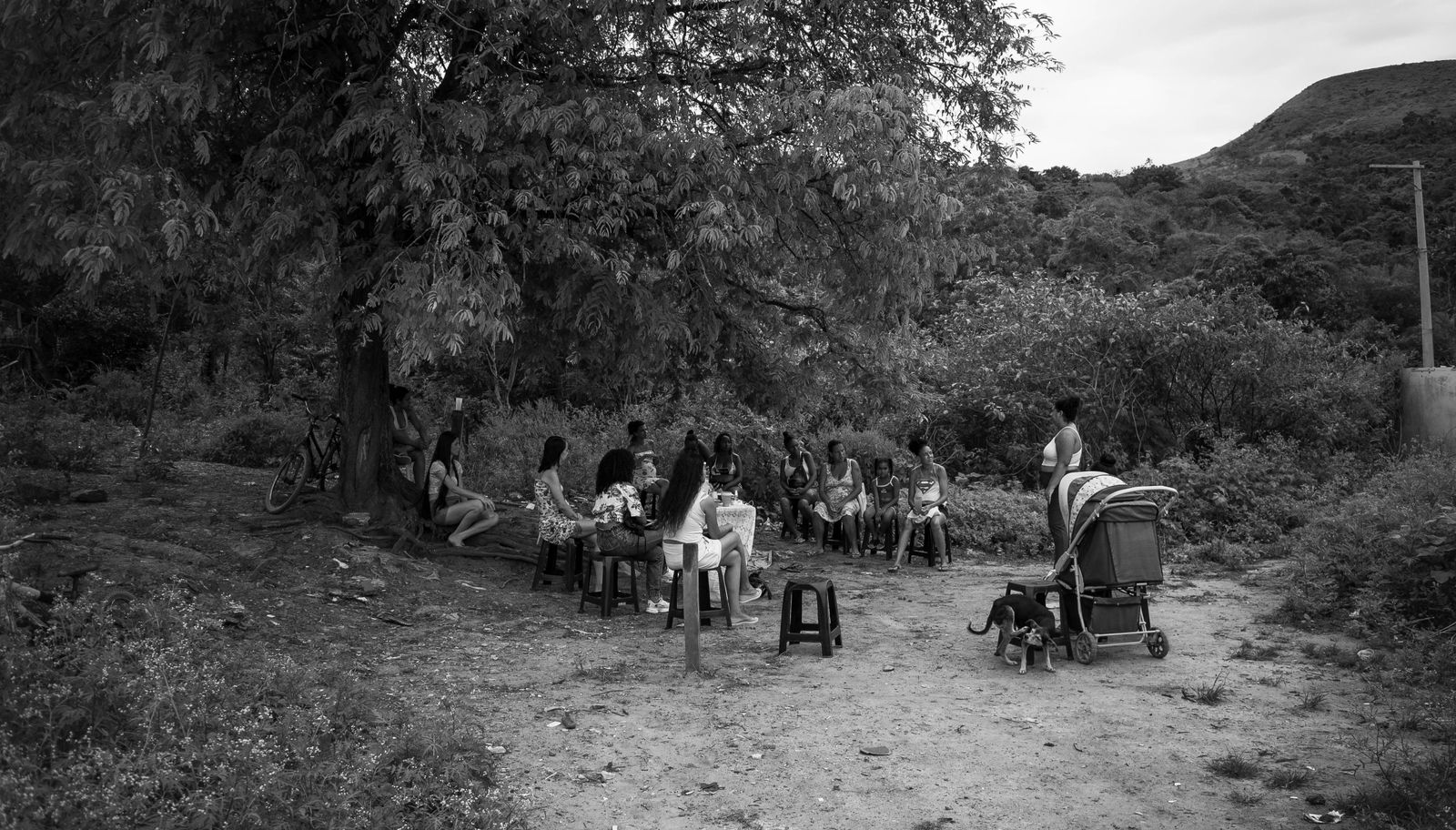 Os encontros eram realizados debaixo de uma árvore. Fonte: Bianca Lorena/Espaço Gaia
