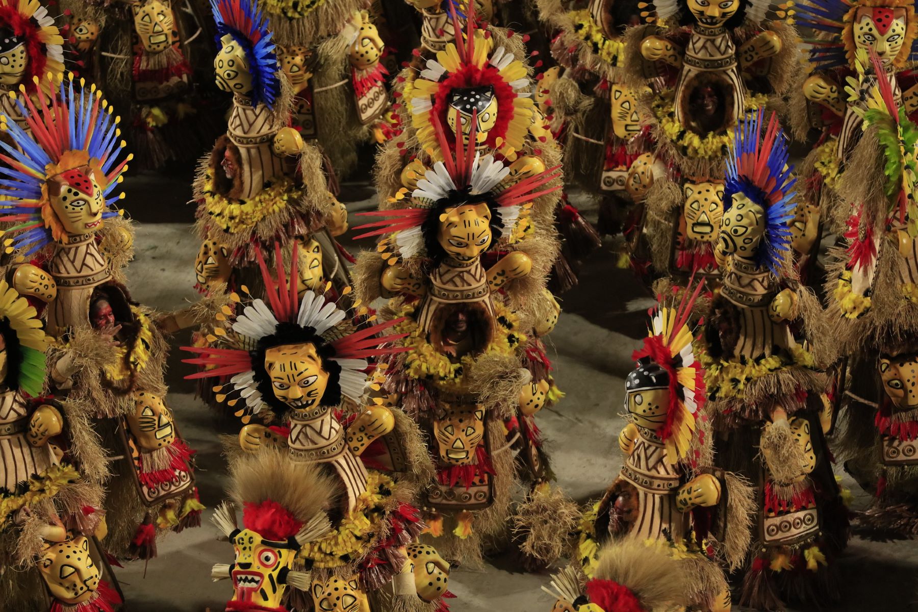 Desfile da Grande Rio na Sapucaí: enredo "Nosso destino é ser Onça!" empolgou componentes e público