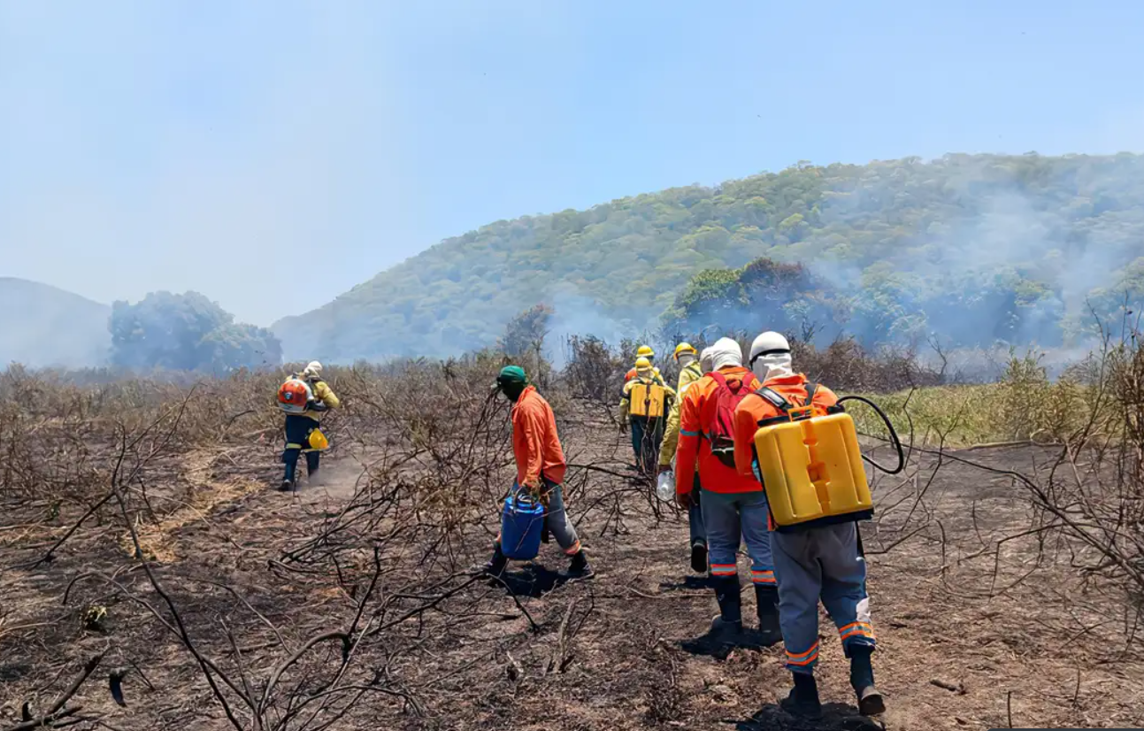 Brigadas combatem fogo na Serra do Amoçar: incêndio fora de época assusta ambientalistas e investidores em preservação do Pantanal (Foto: IHP)