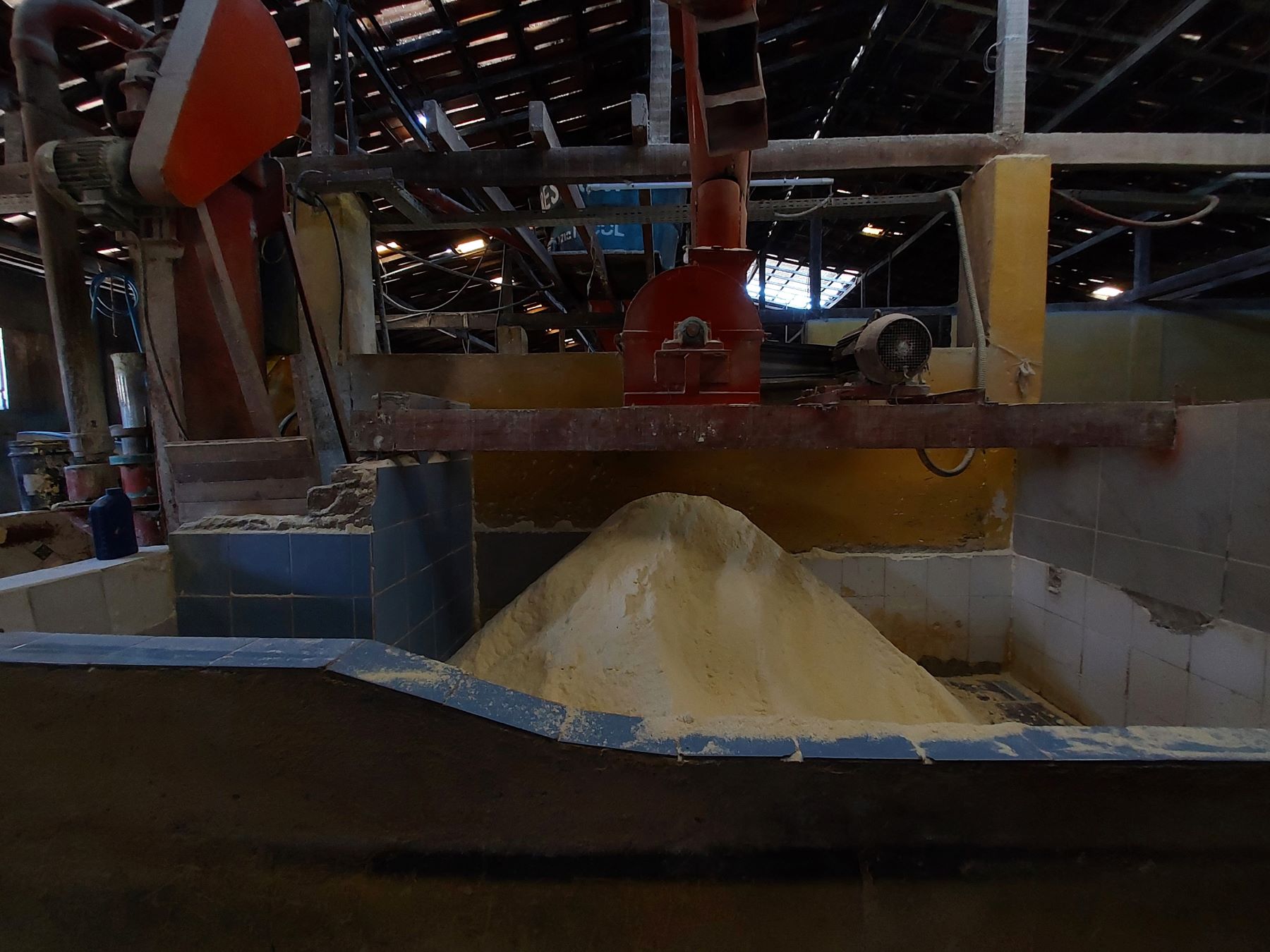 Farinha após a mandioca passar por todo o processo: trabalho manual para levar produto de uma máquina a outra e pago por hora (Foto: Lucas Bezerra)