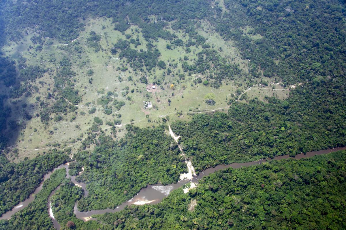 Desmatamento em área de proteção ambiental em São Félix do Xingu (PA): prefeito eleito Fabrício Batista já foi autuado por desmatar e multado em mais de R$ 2,2 milhões (Foto: Juan Doblas / ISA)