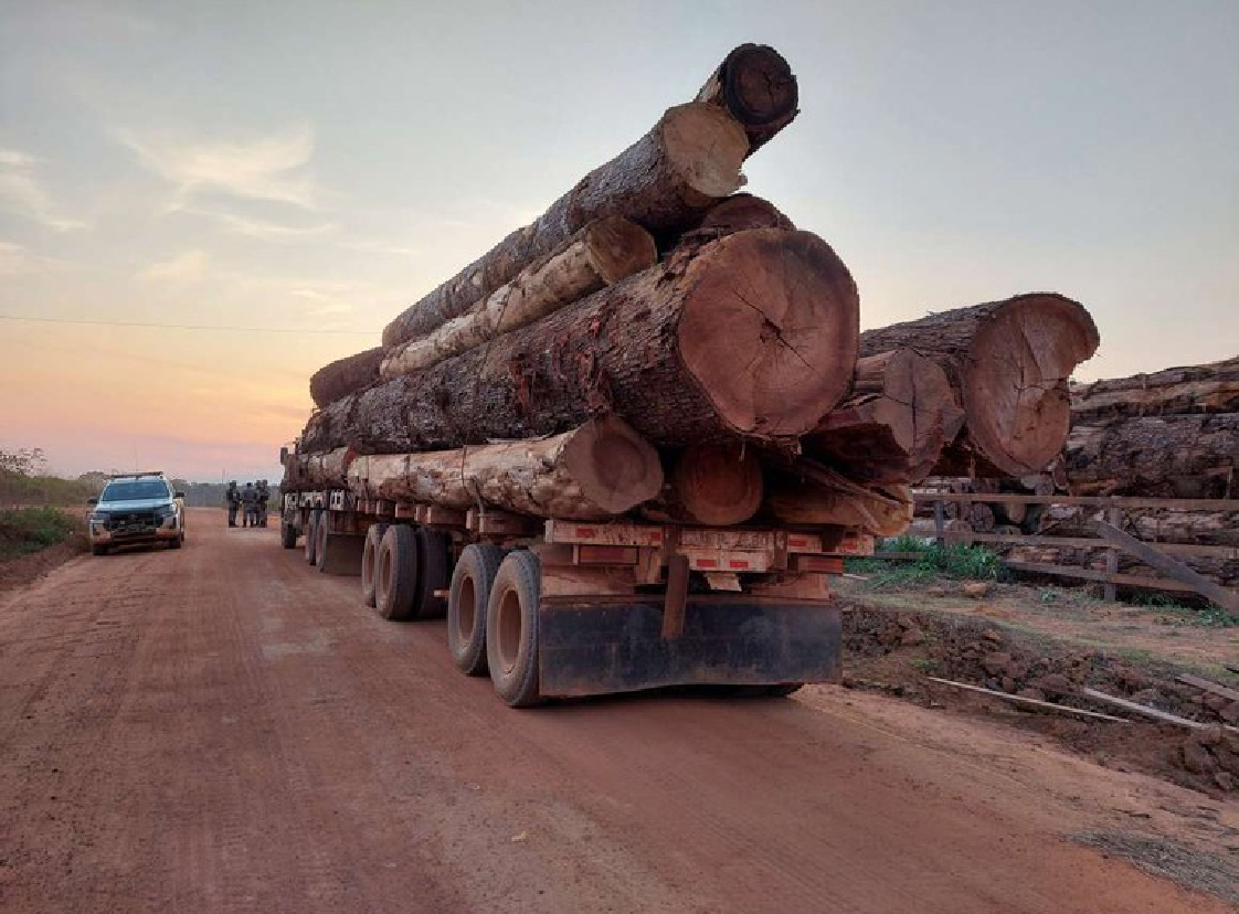 Apreensão de madeira ilegal em Rondônia: área de futuro polo agrícola concentrou 76% do desmatamento em três estados da Amazônia (Foto: Ibama / Amazônia Real)