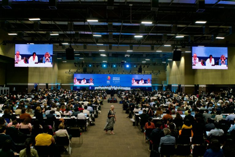 A plenária final da COP16 da Biodiversidade: impasse sobre financiamento (Foto: COP16 / Divulgação)