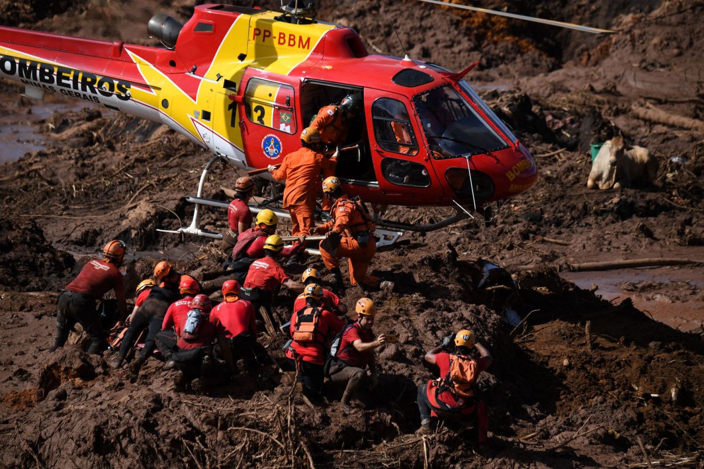 Brumadinho: cinco anos de impunidade