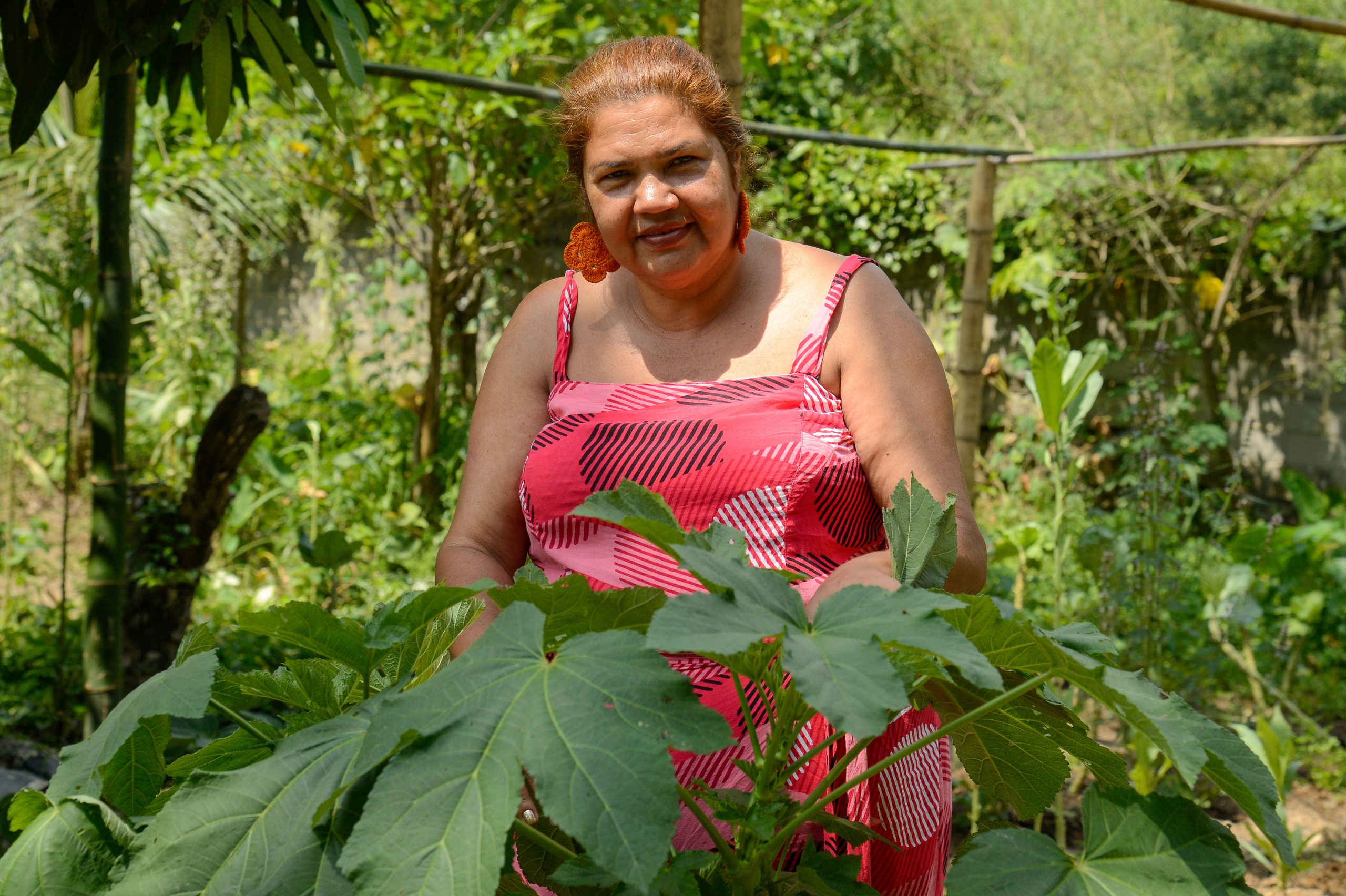 Leonídia Carvalho, presidente da Associação de Remanescentes do Quilombo Dona Bilina, em meio à plantação no território: saberes orais passados de geração para geração através das mulheres (Foto: Tomaz Silva/Agência Brasil - 19/12/2023)