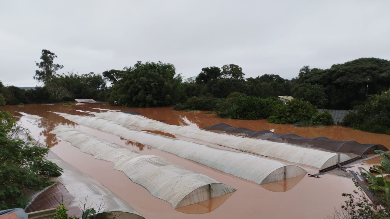 Assentamento do MST produtor de arroz submerso: camponeses e agricultores destacam papel da agroecologia para manter equilíbrio ambiental (Foto: Marcia Riva / Arquivo Pessoal)