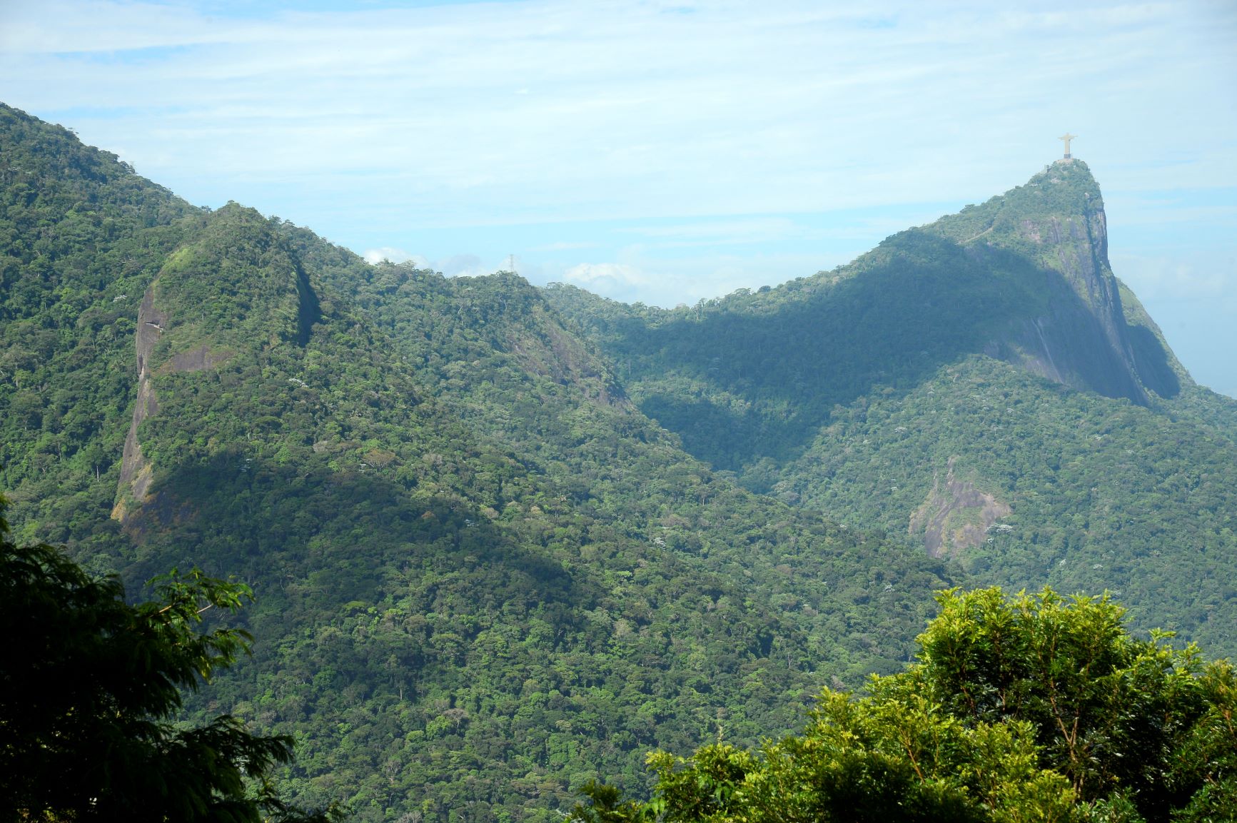A exuberante vegetação de Mata Atlântica até o Corcovado: Parque Nacional da Tijuca reúne centenas de espécies, muitas ameaçadas de extinção (Foto: Tomaz Silva / Agência Brasil)