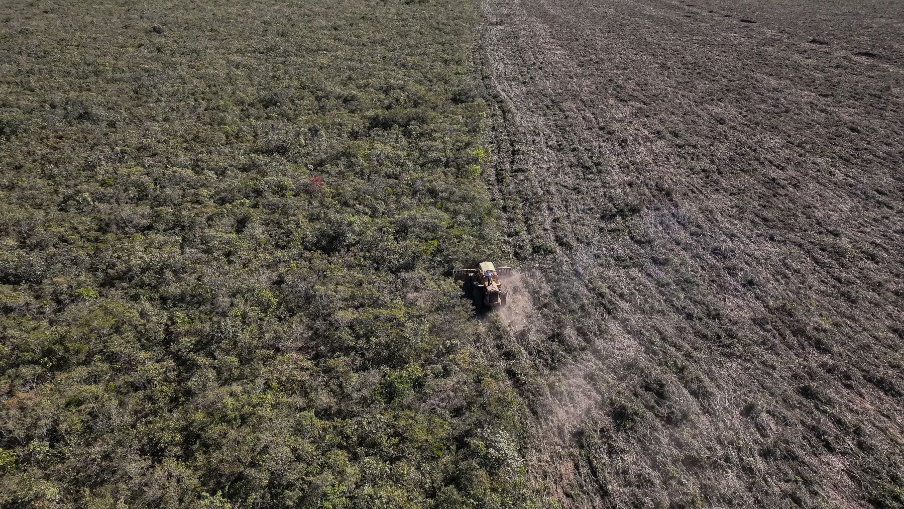 Supressão de vegetação nativa do Cerrado no oeste da Bahia: investigação da ONG Earthsight aponta que produtos à base de frango vendidos por supermercados europeus estão ligados a desmatamento ilegal, e grilagem de terras no Cerrado brasileiro (Foto: Thomas Bauer / Earthsight)