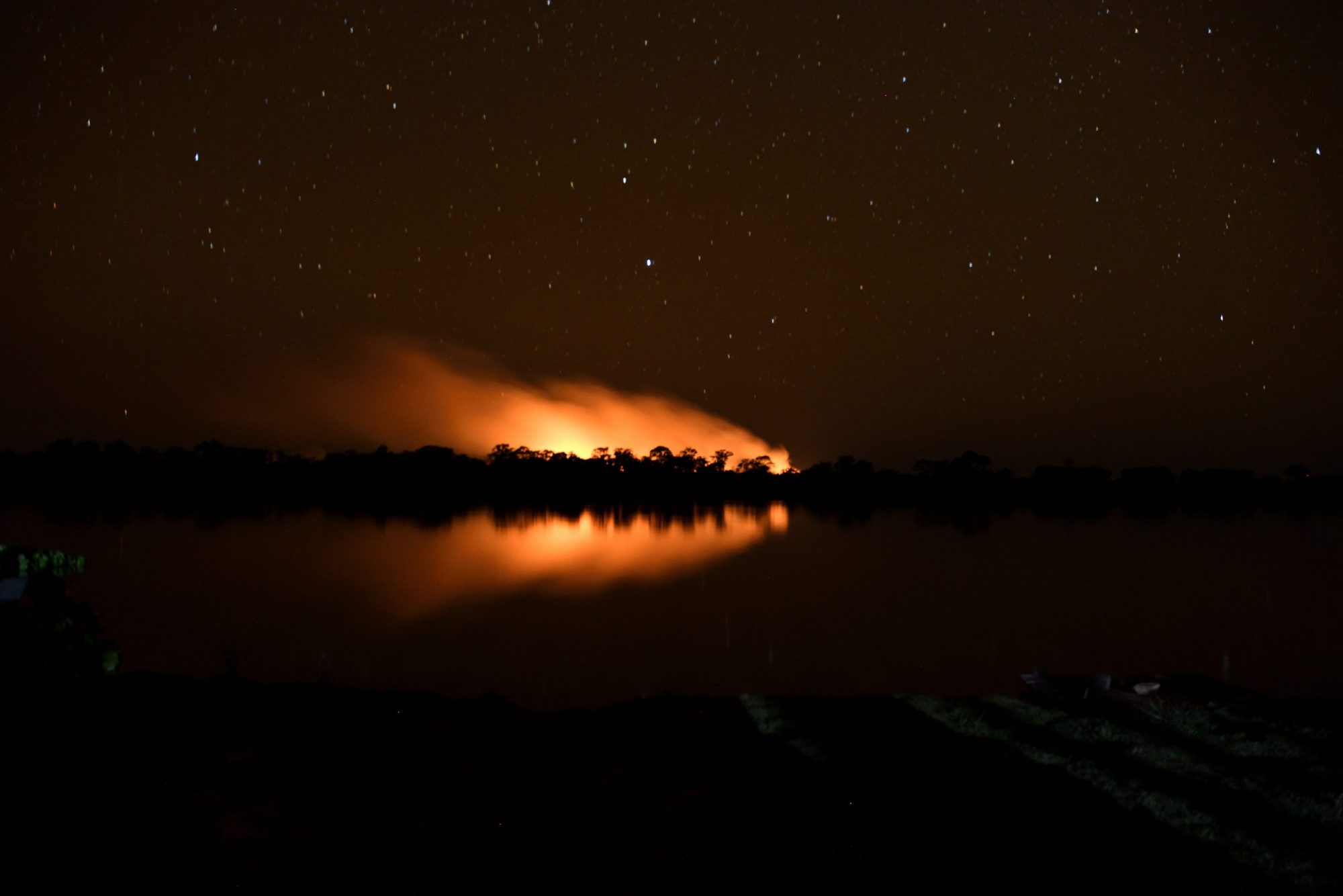 Foto André Zumak/WWF-Brasil Frear o desmatamento na região do Pantanal é uma das ações fundamentais para evitar a crise hídrica. Foto André Zumak/WWF Brasil