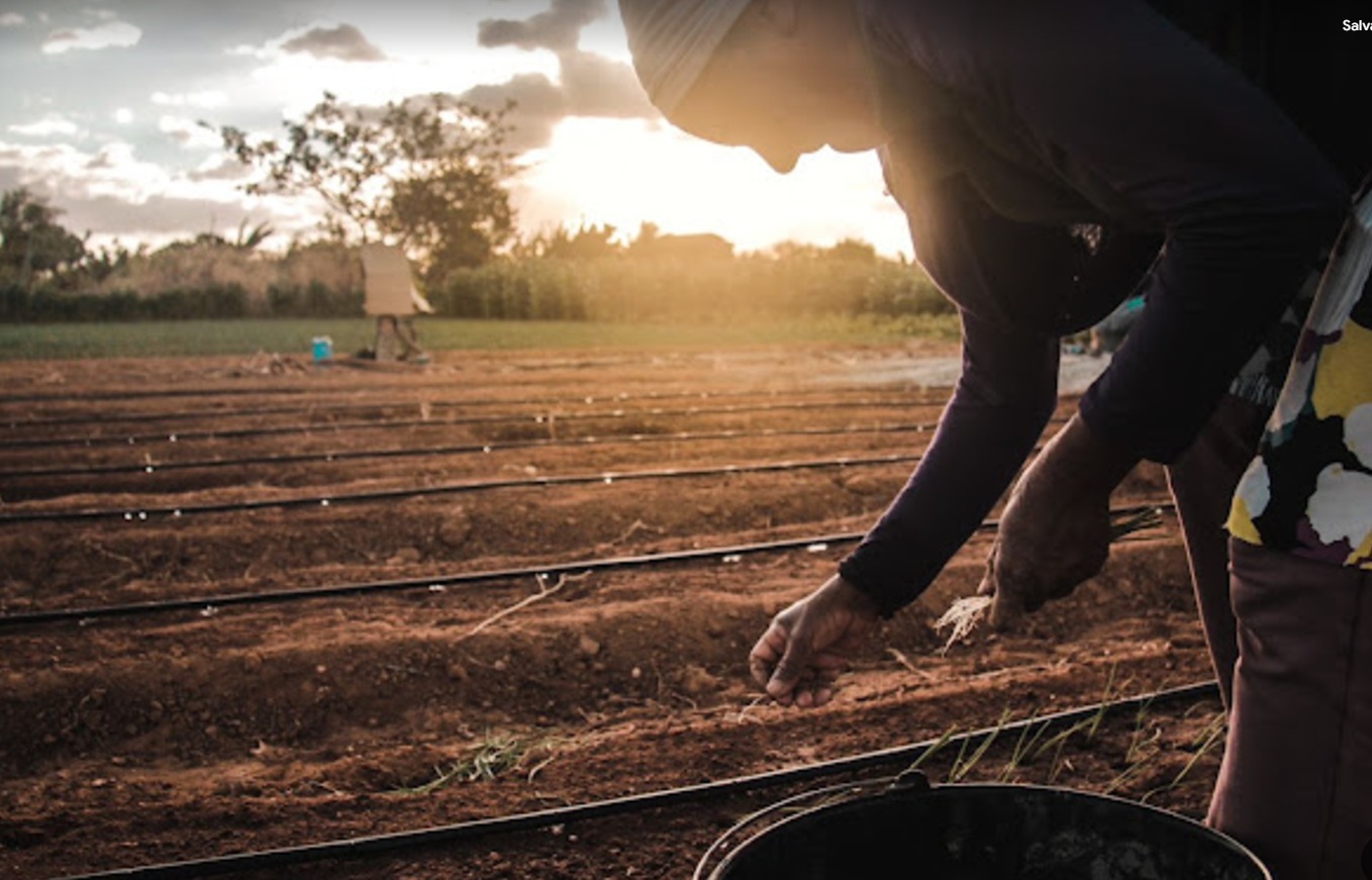 Por que estamos atrasados na discussão sobre trabalho e justiça climática?