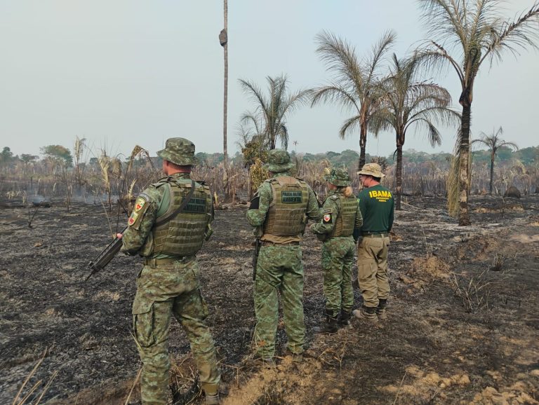 Ação de combate ao desmatamento do Ibama no Amazonas: o mês de abril teve aumento de 55% nos alertas de supressão florestal na Amazônia (Foto: Ibama / Divulgação - 17/10/2024)