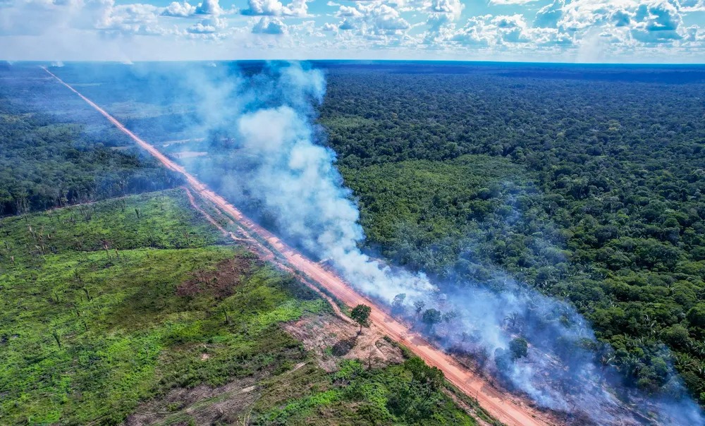Desmatamento no entorno da BR-319: Justiça Federal retoma suspensão de licença para obras (Foto: Orlando K. Junior / Fundação Amazônia Sustentável)