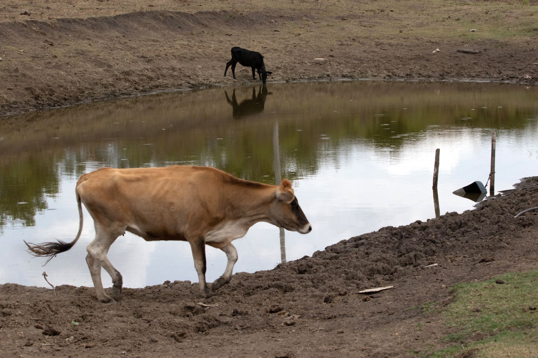 Seca extrema castiga agricultores gaúchos antes e depois dos temporais