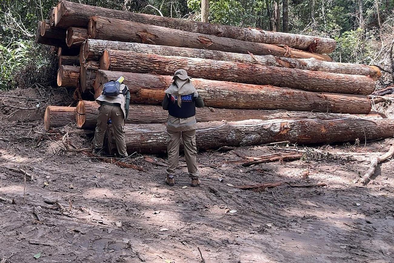 Operação contra desmatamento no Pará: queda de 16% na área desmatada na Amazônia e mais de 30% em todos os biomas (Foto: Agência Pará - 22/06/2023)