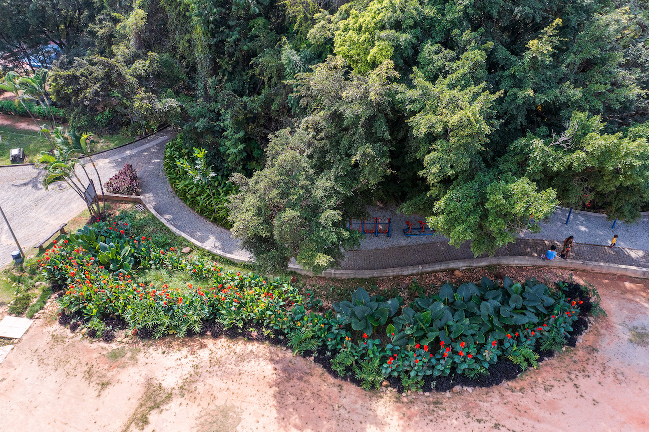 Jardim de chuva no Parque Municipal Lagoa do Nado, em Belo Horizonte: soluções baseadas na natureza conectam biodiversidade, clima e desenvolvimento urbano (Foto: Nereu Jr / WRI)