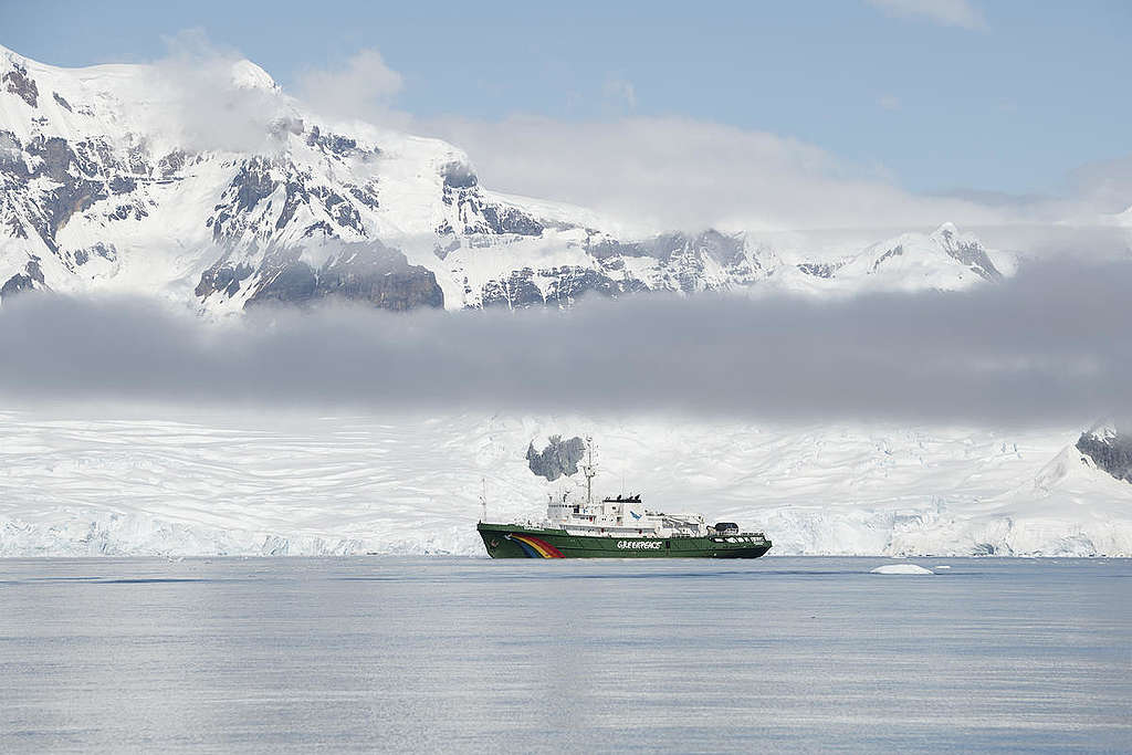 Navio de pesquisa do Greenpeace na Antártica: estudo aponta que meta do Acordo de Paris será insuficiente para evitar derretimento do gelo polar e aceleração do aumento do nível do mar (Foto: Greenpeace)